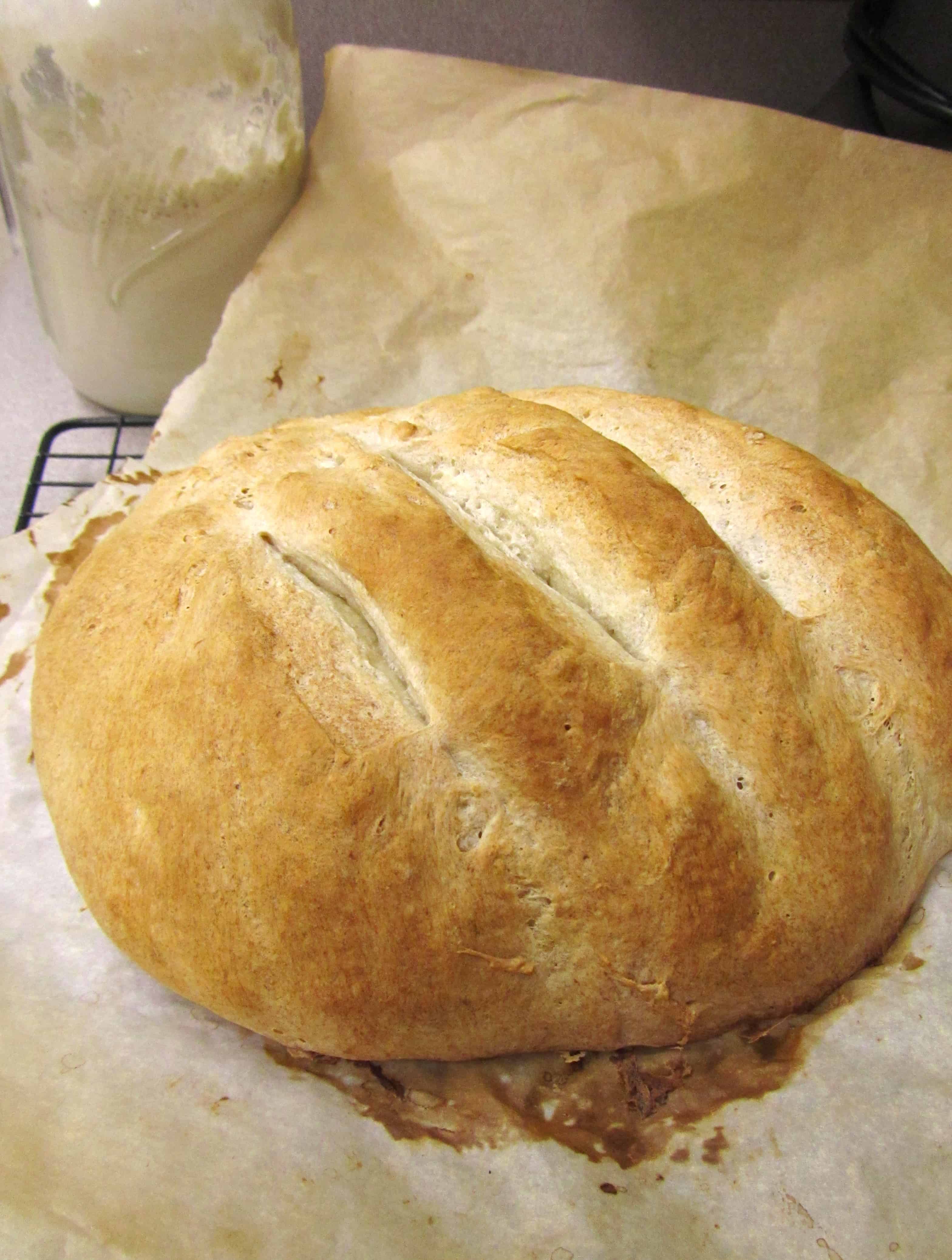 Rustic Sourdough Bread