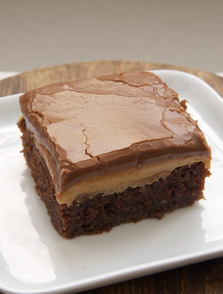 Peanut Butter Texas Sheet Cake - RecipeBoy
