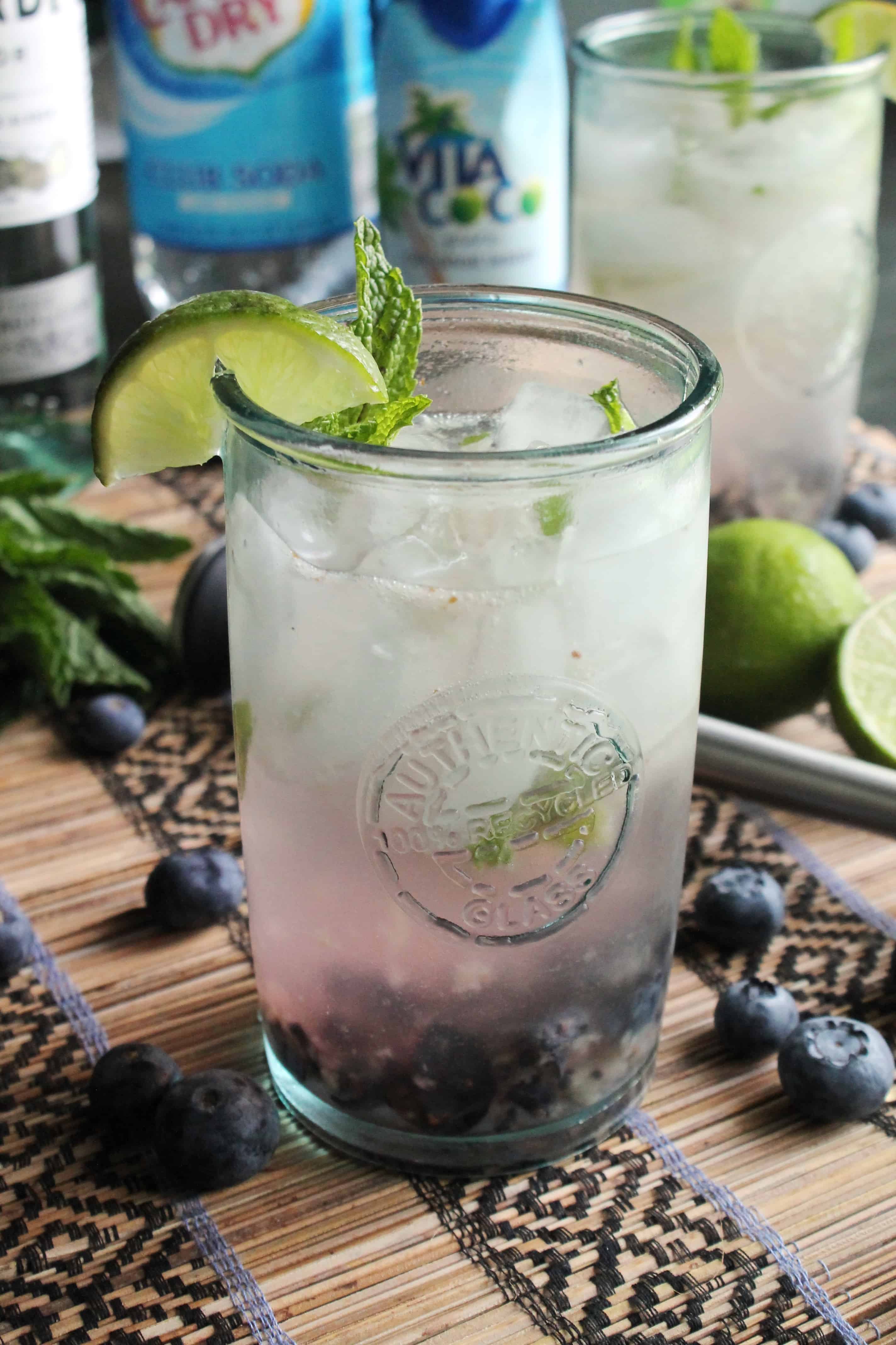 https://www.thespiffycookie.com/wp-content/uploads/2016/05/Blueberry-Coconut-Mojitos-1.jpg